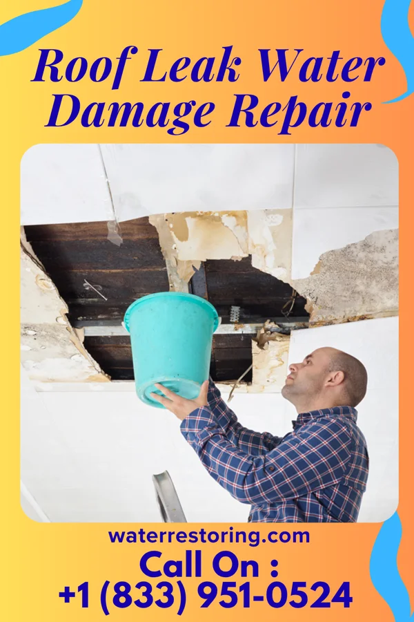 Roof Leak Water Damage Repair in Fairview, TN