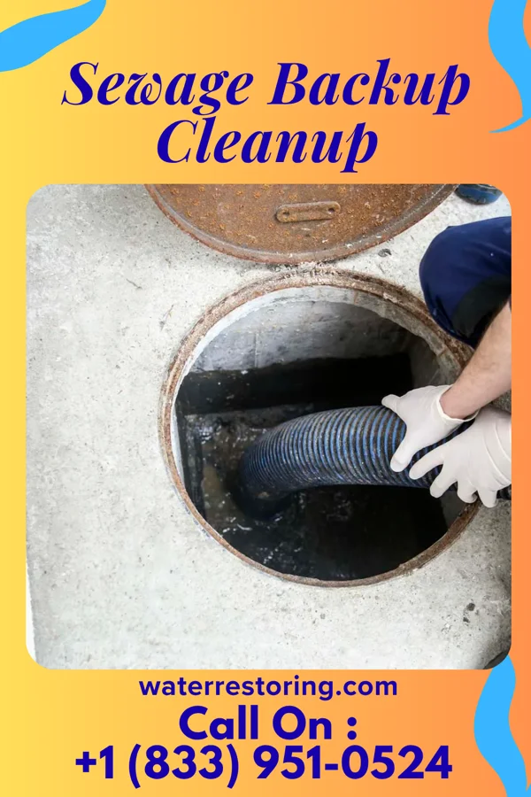 Sewage Backup Cleanup in Fairview, TN